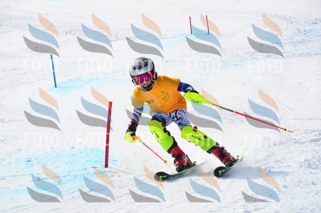 C8375 | holidayphoto