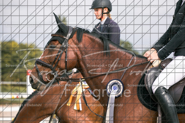 _W6A1746 | ronjaprokoschfotografie - Realisiert mit Pictrs.com