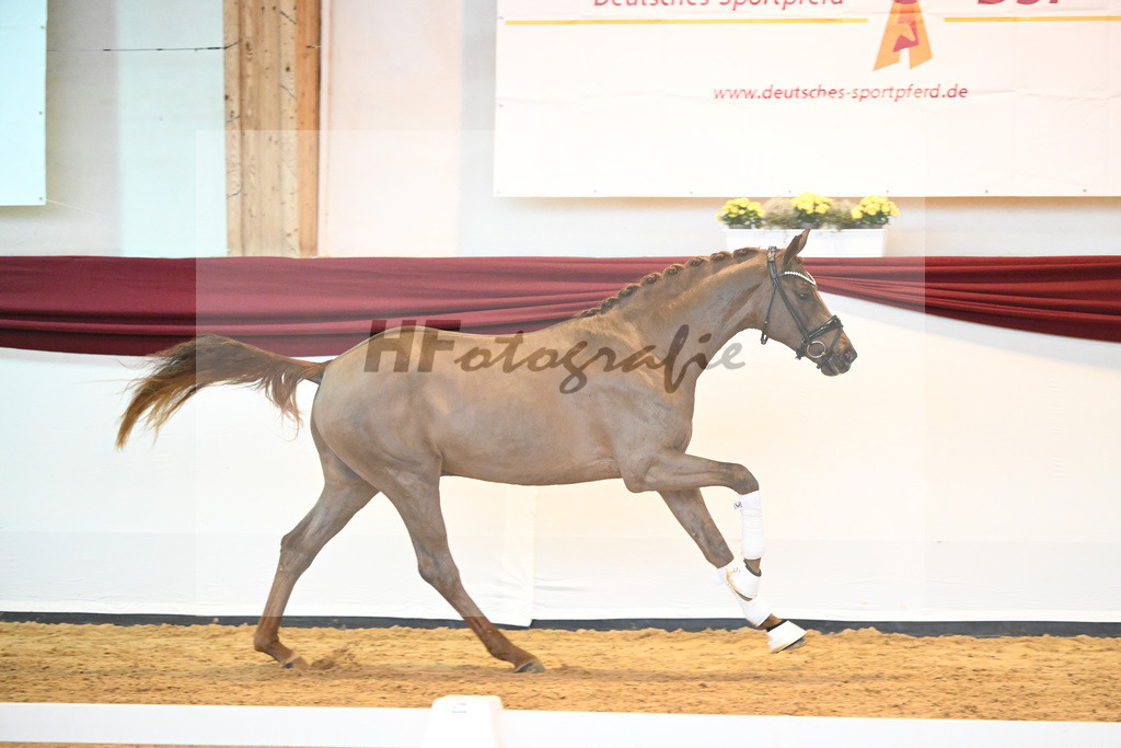Kat-Nr. 7 v. Bon Courage_Plank_66220096 | hf-fotografie - Realisiert mit Pictrs.com