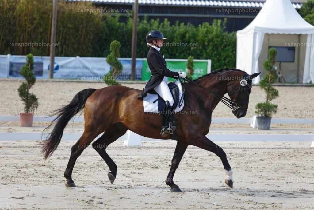 JHE_1178 | JoYa Fotografie - Realisiert mit Pictrs.com