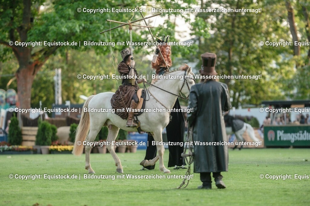 20230526_Pferdenacht_0286 | equistock