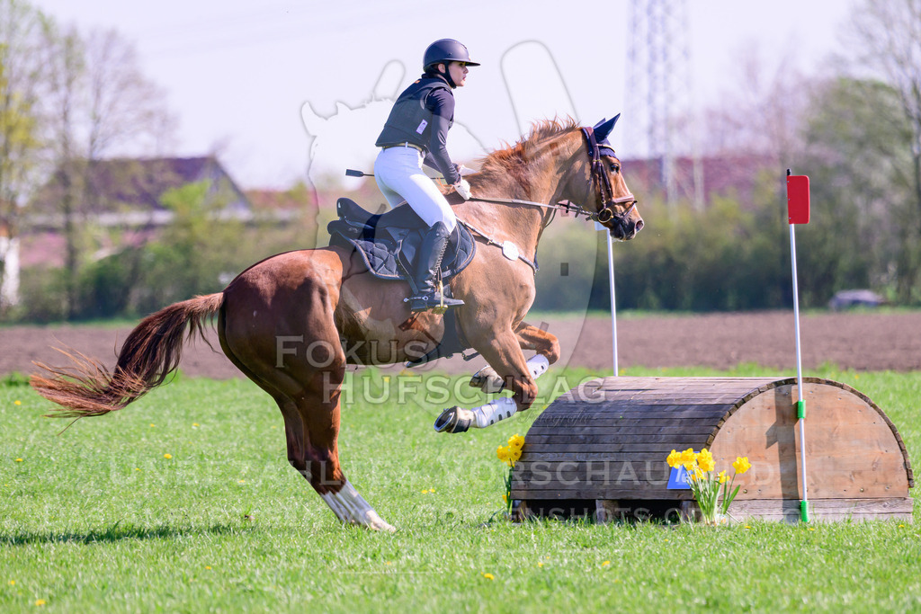 18042026-Gernlinden-03-0716 | Fokus Hufschlag Fotografie - Realisiert mit Pictrs.com
