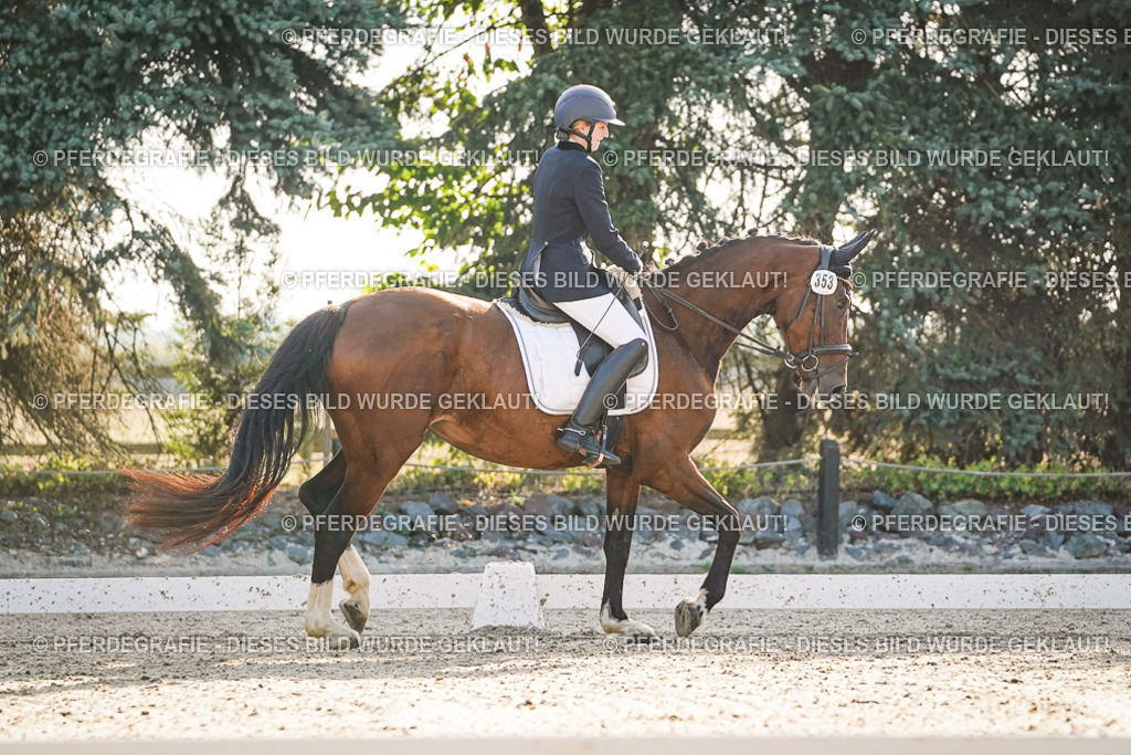 DSC07938 | Pferdegrafie