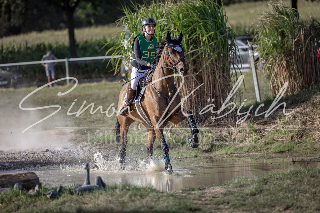 20250907-_3LI4020 | Tierfotografie Pferde, Hunde, Katzen, Haustiere.
Turnierfotografie Reitturniere, Reiten, Springreiten, Dressur in Hanau, dem Main-Kinzig-Kreis und dem Rhein-Main- Gebiet um Frankfurt