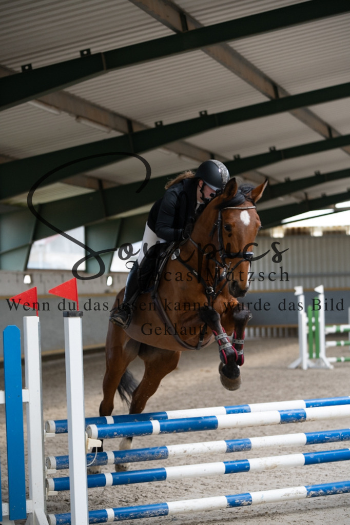 A7V07004 | Pferdefotograf