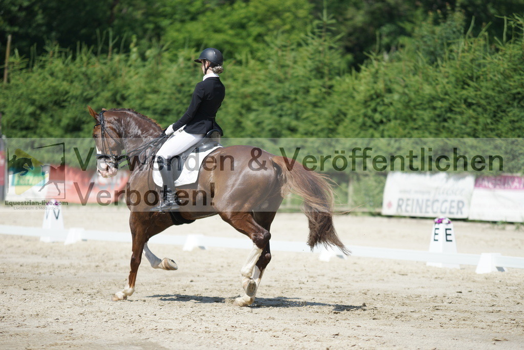 DSC04683 | equestrian-live-com