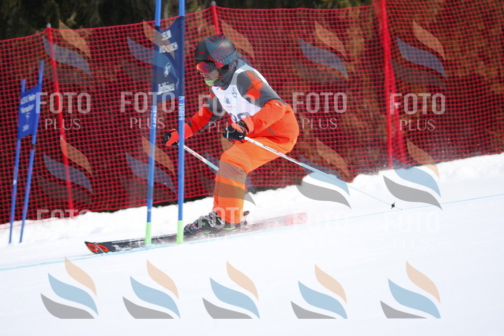 D8041 | holidayphoto