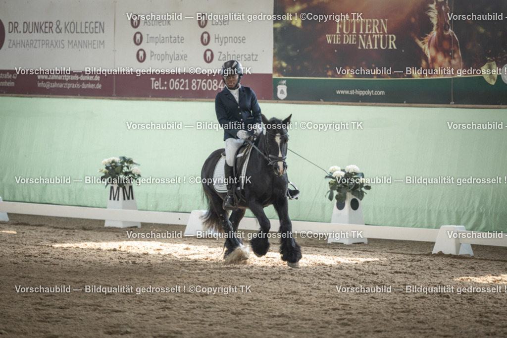 _D5A5525 | Emotionale Pferde- & People-Fotografie rund um Heidelberg, Leimen & Umgebung. Natürliche Fotos von Pferd, Mensch & Familie. Jetzt Termin sichern!