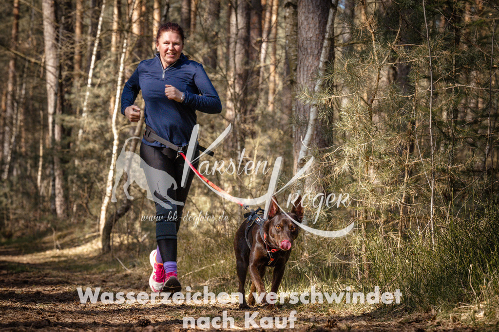 1141_ZZ91733 | kk-dogfotos