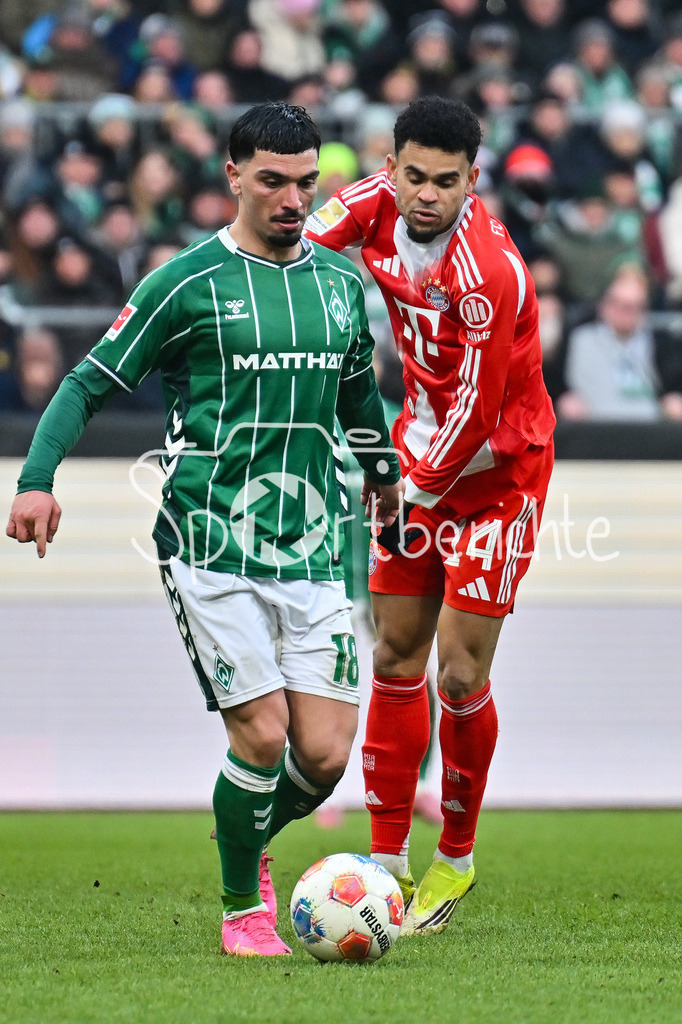 SV Werder Bremen - FC Bayern München | BREMEN, GERMANY - 14. FEBRUARY: im Duell Cameron PUERTAS CASTRO (SV Werder Bremen 18) und Luis DIAZ (FC Bayern Munich 14) während dem Bundesligamatch zwischen dem SV Werder Bremen und dem FC Bayern München am 22. Spieltag im Weserstadion / DFL REGULATIONS PROHIBIT ANY USE OF PHOTOGRAPHS AS IMAGE SEQUENCES AND/OR QUASI-VIDEO