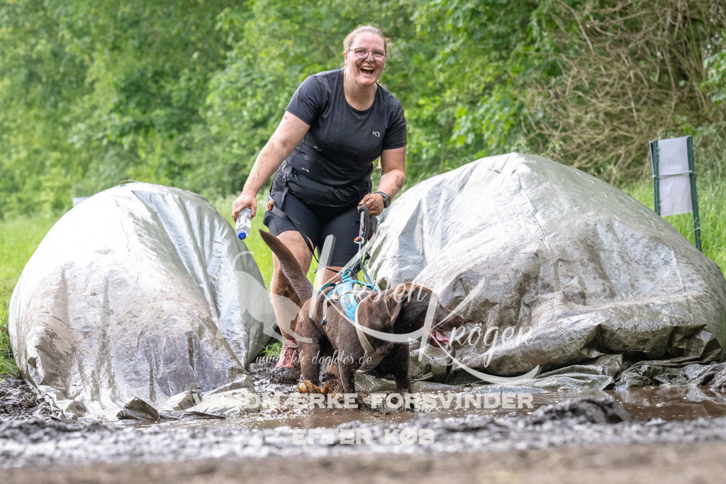 1238_ZZ92727 | kk-dogfotos