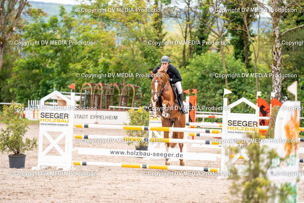 Eppelheim Tag 1-208 | dv-media-shop - Realisiert mit Pictrs.com