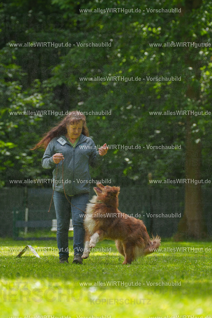 @allesWIRTHgut_Tierfotografie - www.allesWIRTHgut.de - 7R500804 | Professionelle Tierfotografie in Mönchengladbach von Daniel Wirth (allesWIRTHgut). Liebevolle & natürliche Bilder von Hunden & Katzen für unvergessliche Erinnerungen.