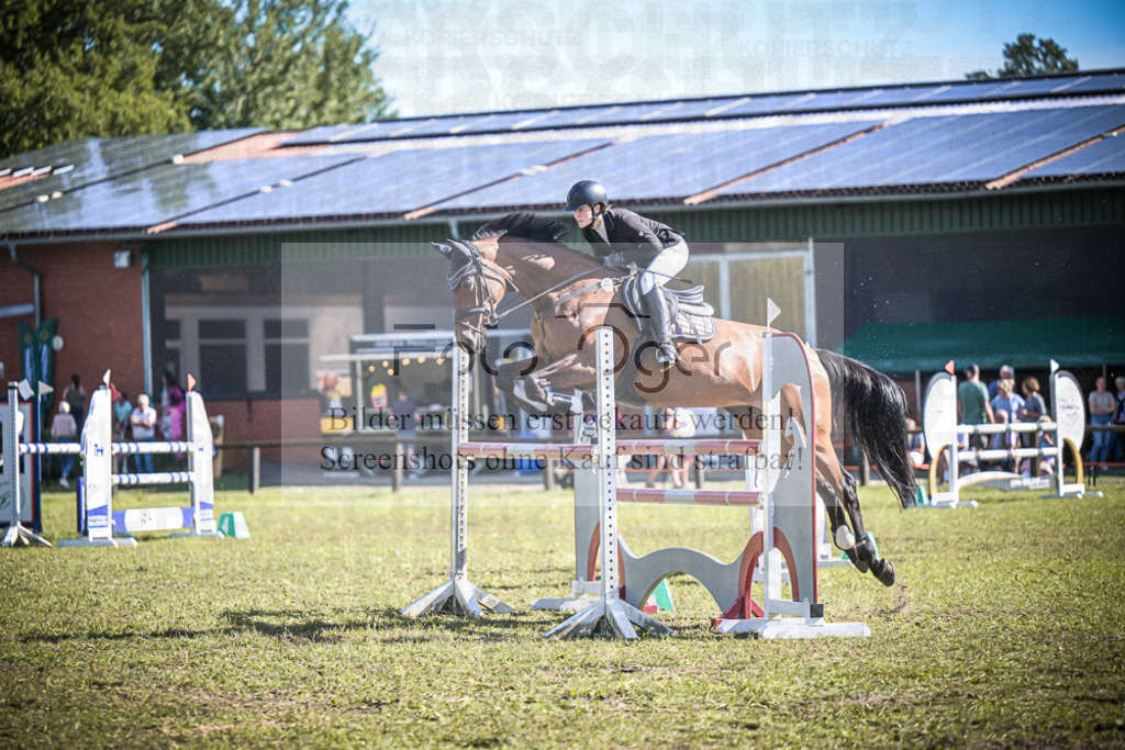 DOS_0791 | Entdecke hochwertige Reitturnierfotos von Foto Oger. Professionell, emotional und authentisch – jetzt Lieblingsmomente im Shop bestellen.Deutschlandweite Turnierfotografie. - Realisiert mit Pictrs.com