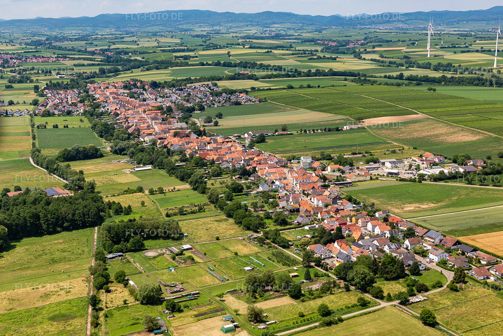 Luftbild: Ortsansicht am Rande von landwirtschaftlichen Feldern und Nutzflächen in Freckenfeld im Bundesland Rheinland-Pfalz in Deutschland. Foto: IMG_127220.jpg vom 26.06.2021 durch Werner Riehm/FLY-FOTO.de