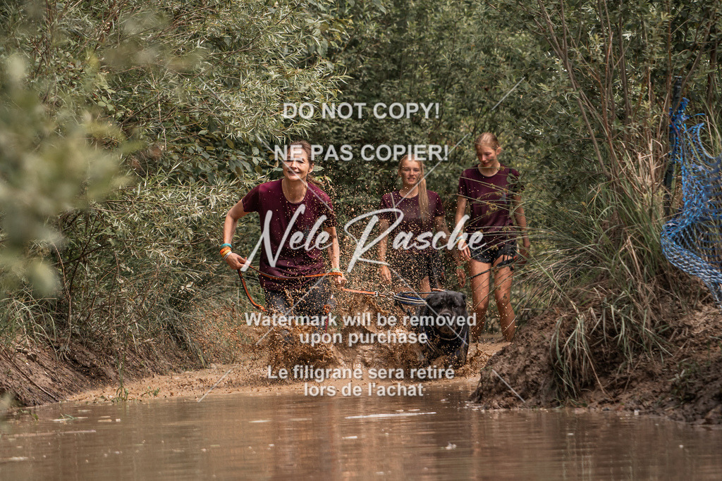 nelerasche_Hoope2026_So1400-1430_61 | nelerasche