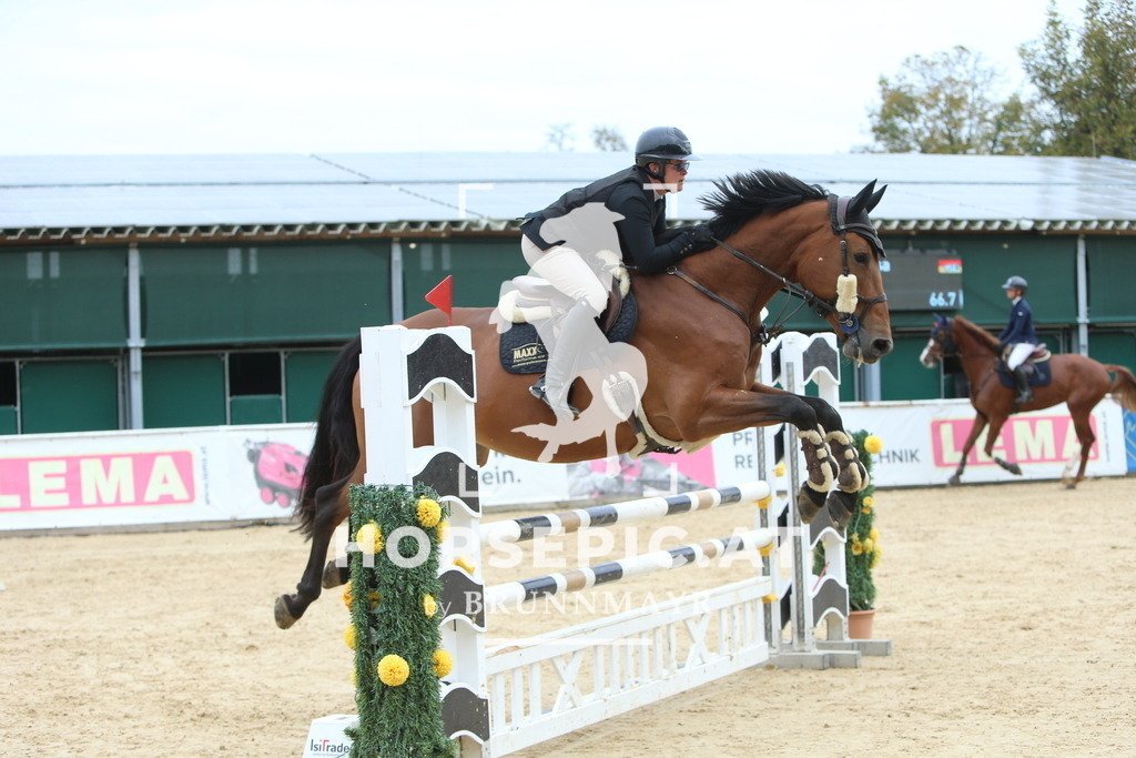 DL2Q4476 | Willkommen bei Brunnmayr - Design & Fotografie – Ihrem Spezialisten für Reitturniere und Pferdeveranstaltungen in Oberösterreich, Salzburg und Bayern! Seit über 17 Jahren sind wir leidenschaftlich dabei.
