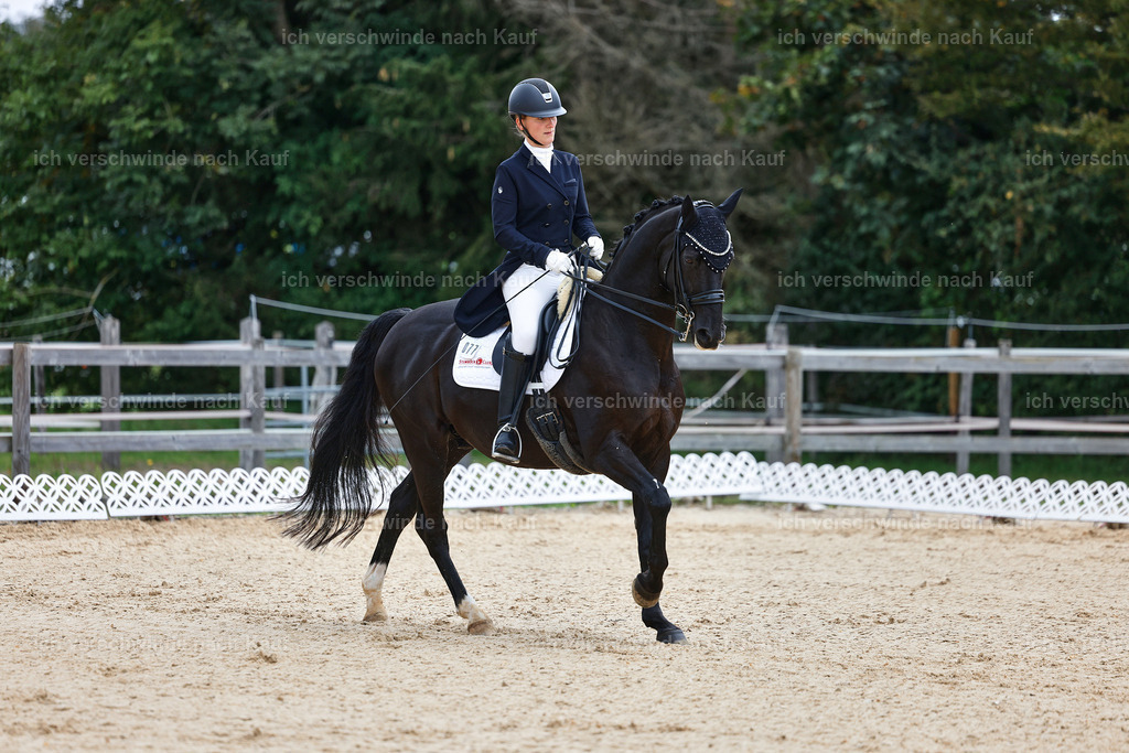 8_1-077-Klasse S_  -StoibPH-3809 | working equitationturnier fotograf videograf stoibphotography marixx film working equitation deutschland reitsport turnierfotografie eventfotografie equestrian events