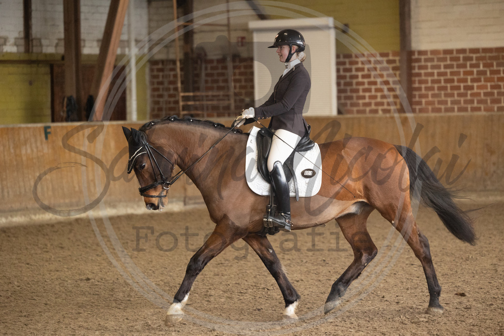 994A8970 | sabrinanicolaifotografie - Realisiert mit Pictrs.com