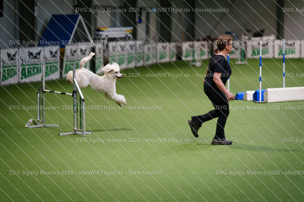 allesWIRTHgut_Tierfotografie-DVG_Agility_Masters_2026-08_14-7R509935 | Professionelle Tierfotografie in Mönchengladbach von Daniel Wirth (allesWIRTHgut). Liebevolle & natürliche Bilder von Hunden & Katzen für unvergessliche Erinnerungen.