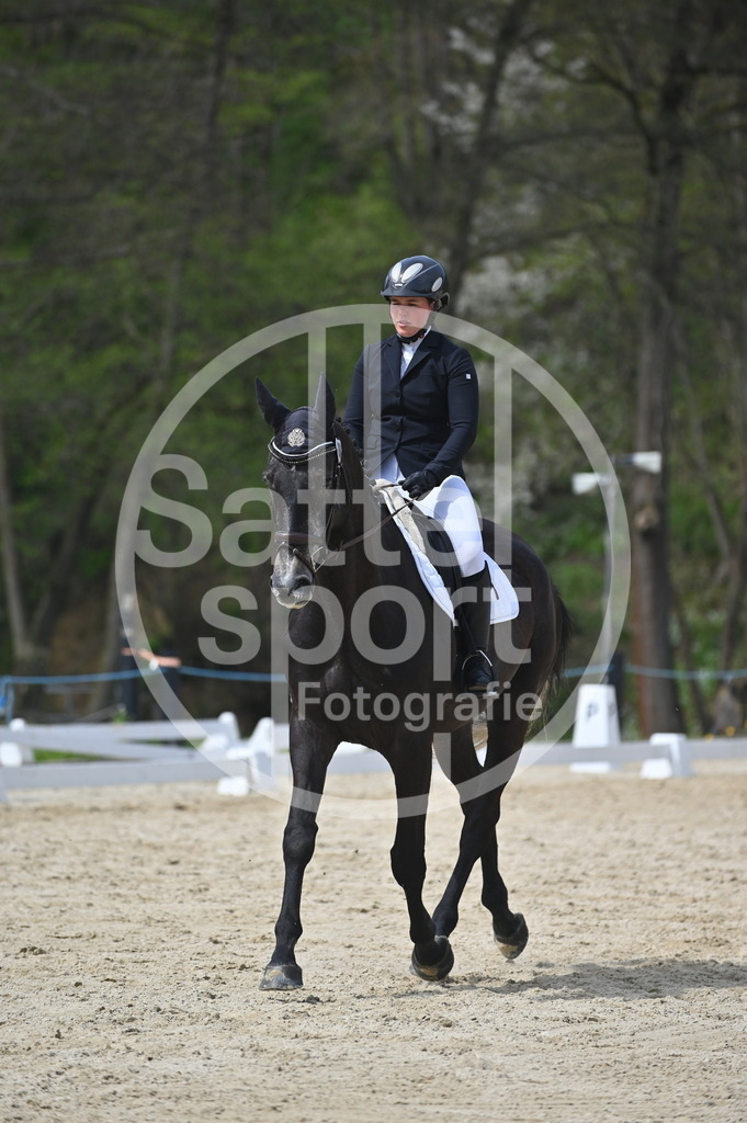 DSC_2987 | sattelsport - Realisiert mit Pictrs.com