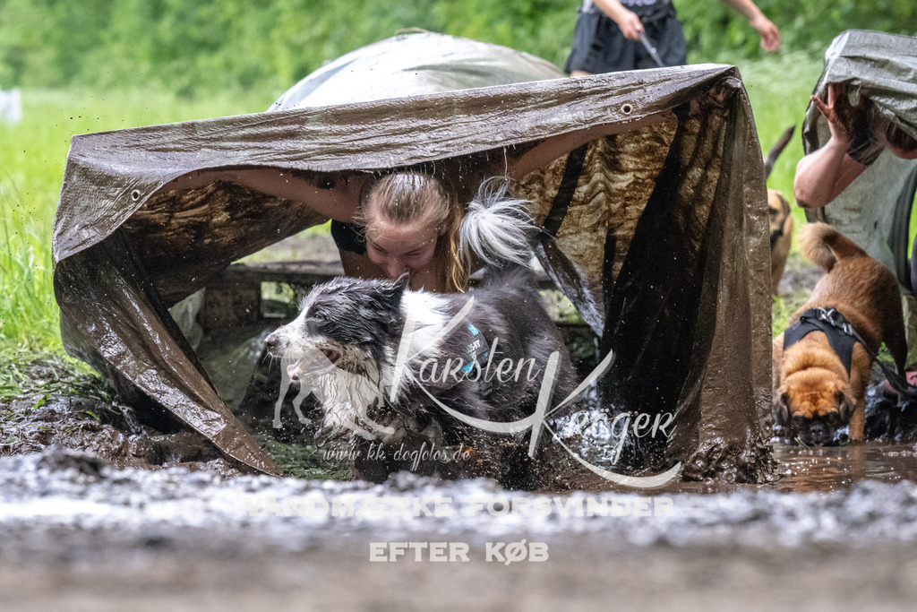 1257_ZZ94376 | kk-dogfotos