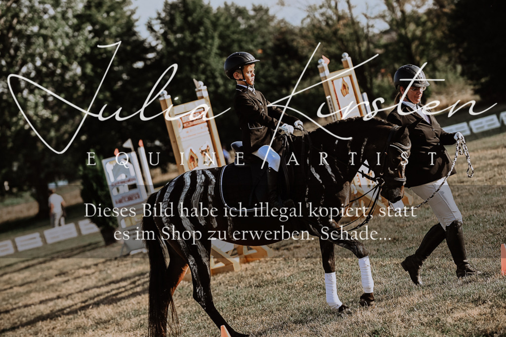 DSC_0204 | Pferde- und Turnierfotografie in Westsachsen. Pferdeportraits, Auftragszeichnungen und intuitive Kunst.