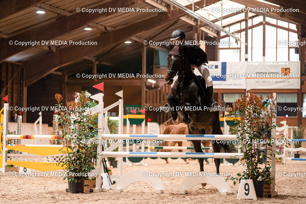 Springen Tag 3-111 | dv-media-shop - Realisiert mit Pictrs.com