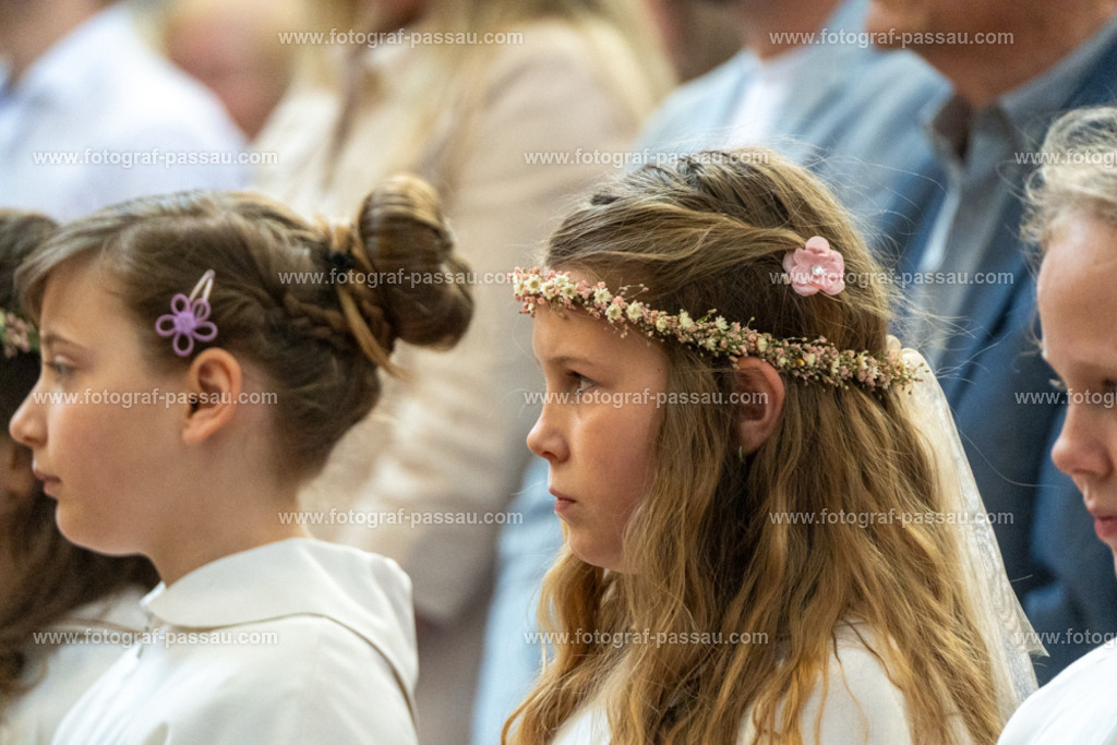 A7V02722 | Hier finden Sie die Online Foto-Galerie von fotograf-passau.com und marius-handrugan.de. Suchen Sie sich direkt Ihre Lieblingsbilder aus, ob als Ausdruck oder Download. - Realisiert mit Pictrs.com