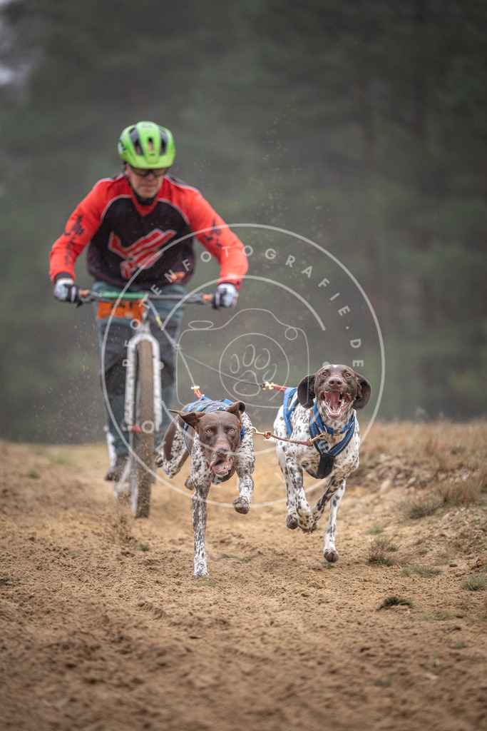 Pfotenfotografie_DV3A0932 | Hundefotografie, Tierfotograf, Pfotenfotografie, Fotoshooting Hund, Hunde Portrait, Hundesport, Hundeportraits, Heideshooting, Hunde, Sportfotograf, Hundefotograf, Turnierhundsport, THS,  - Realisiert mit Pictrs.com