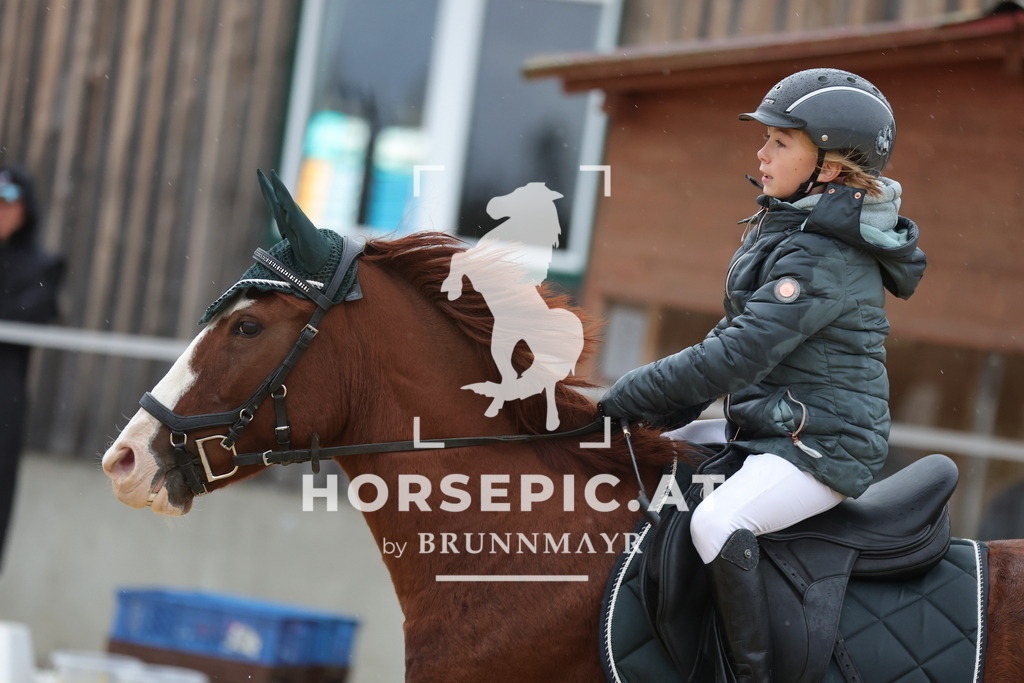 0P6A2079 | Willkommen bei Brunnmayr - Design & Fotografie – Ihrem Spezialisten für Reitturniere und Pferdeveranstaltungen in Oberösterreich, Salzburg und Bayern! Seit über 17 Jahren sind wir leidenschaftlich dabei.