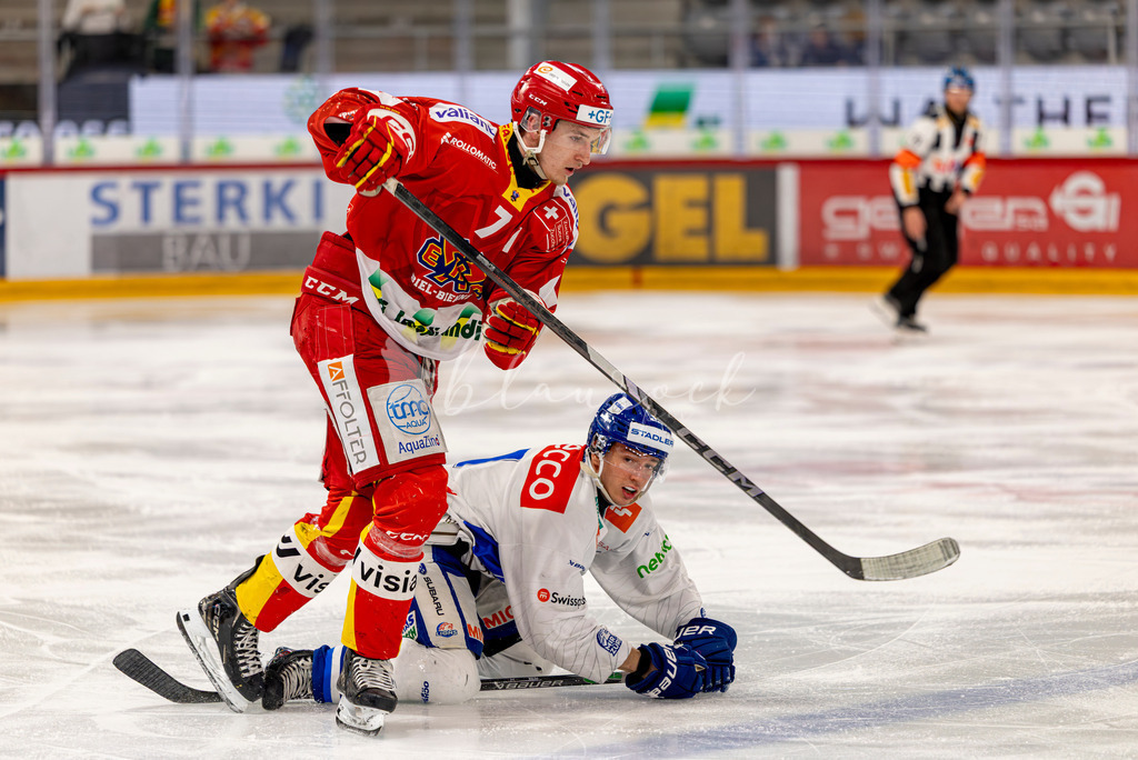 EHCB vs GCK _1-848405504 | Sportbilder, Sportfotograf, Hochzeits- und Eventfotografin, Flugshows, Portraits und Tiershooting, Aviation, Downhill, Nationalleague, Swissleague, International