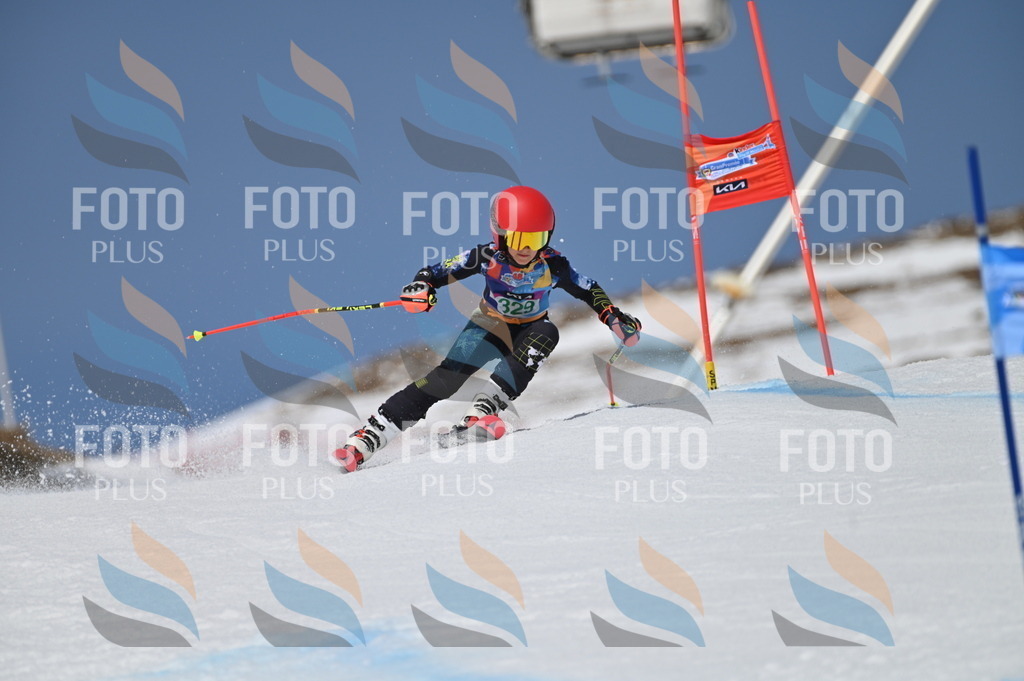 BGV_6514 | holidayphoto