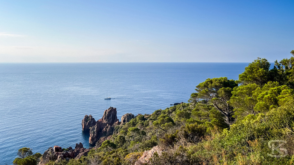 Küste am Cap Ferrat mit Blick auf das azurblaue Mittelmeer | Blick von der bewaldeten Küste des Cap Ferrat auf das weite Mittelmeer mit markanten Küstenfelsen, grünen Pinien und einem kleinen Boot am Horizont unter klarem Himmel. - Realisiert mit Pictrs.com