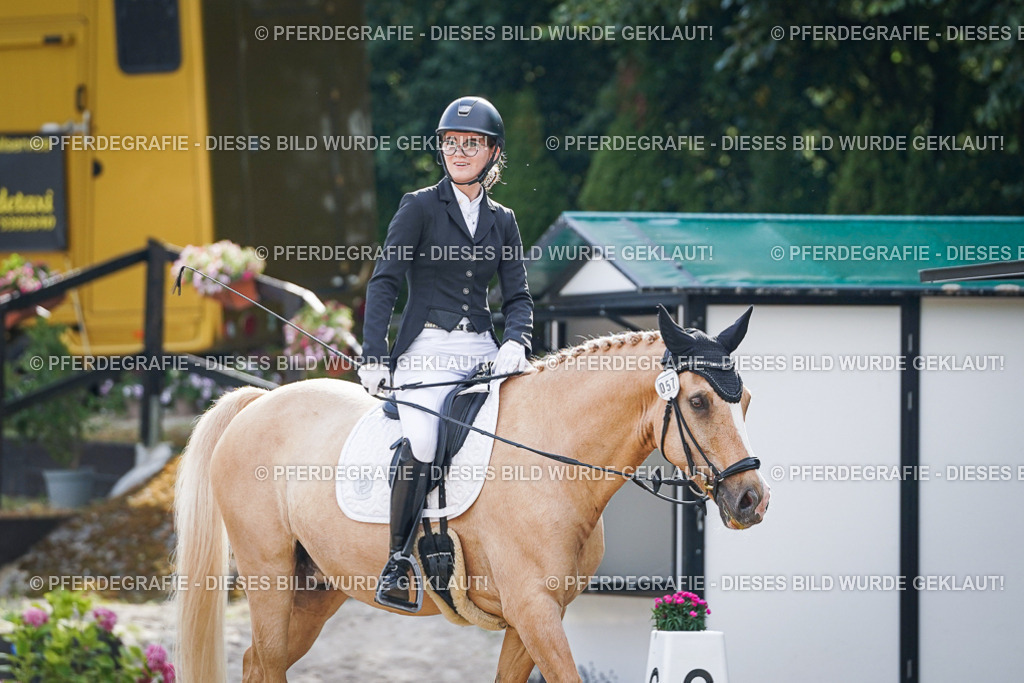 DSC00918 | Pferdegrafie