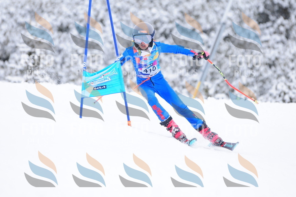 C4309 | holidayphoto