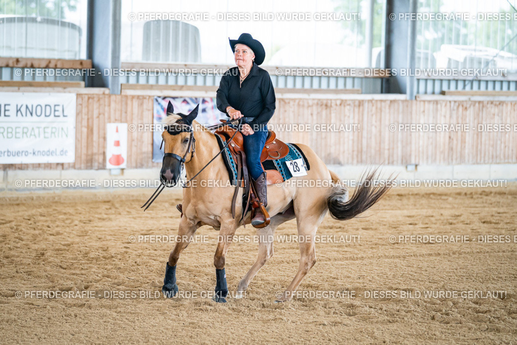 DSC05694 | Pferdegrafie