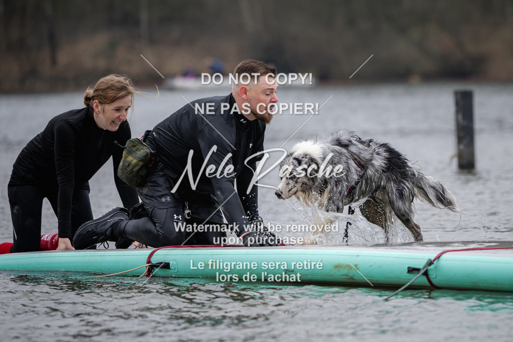 nelerasche_Hulsbeek_Sa1515-1600_169 | nelerasche