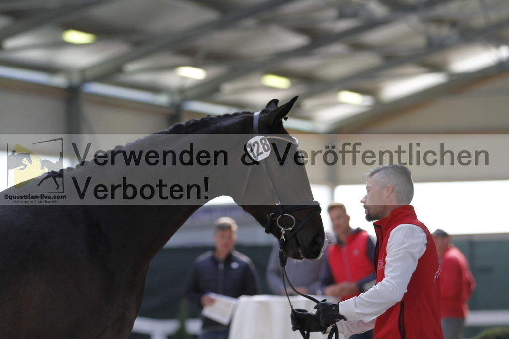 _MG_9805 | equestrian-live-com