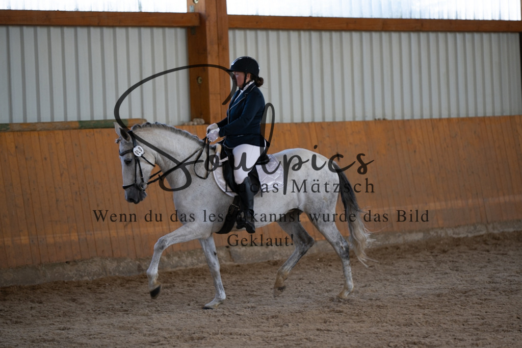 A7V01887 | Pferdefotograf