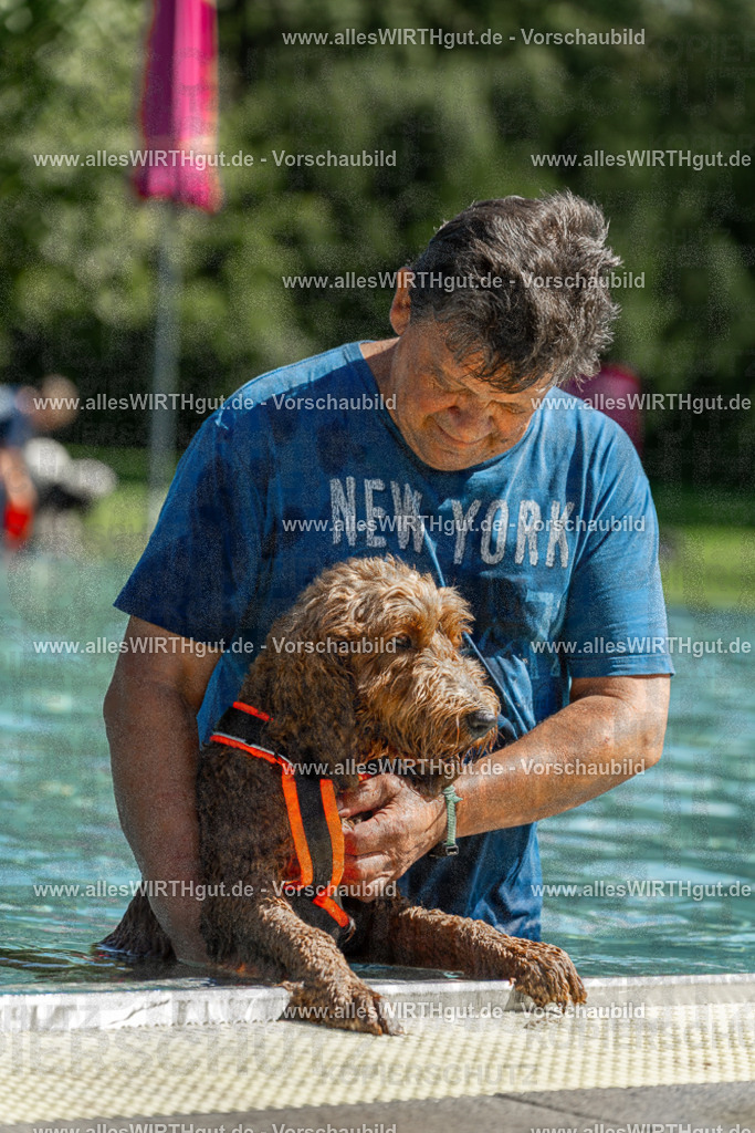 Hundeschwimmen_Volksbad_2026-allesWIRTHgut_Tierfotografie-2609061254-120426-7R500289 | Professionelle Tierfotografie in Mönchengladbach von Daniel Wirth (allesWIRTHgut). Liebevolle & natürliche Bilder von Hunden & Katzen für unvergessliche Erinnerungen.