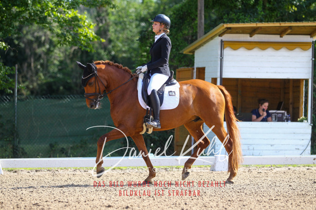 DKP42879 | Turniersportfotografie; Pferdefotografie; Dressurfotografie