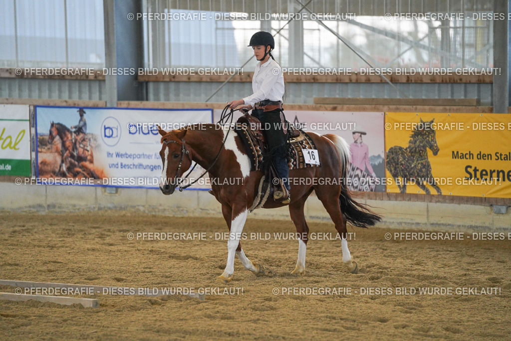 DSC09035 | Pferdegrafie