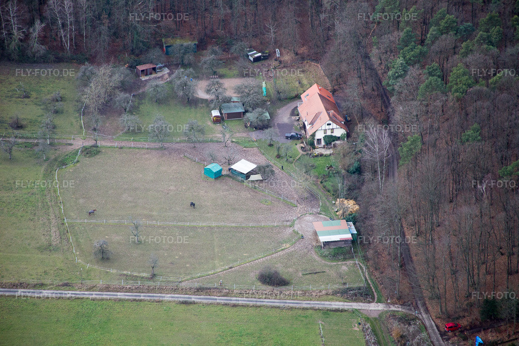 Luftbild: FeWo Saigenranch in Pleisweiler-Oberhofen im Bundesland Rheinland-Pfalz in Deutschland. Foto: IMG_085700.jpg vom 08.01.2016 durch Werner Riehm/FLY-FOTO.de