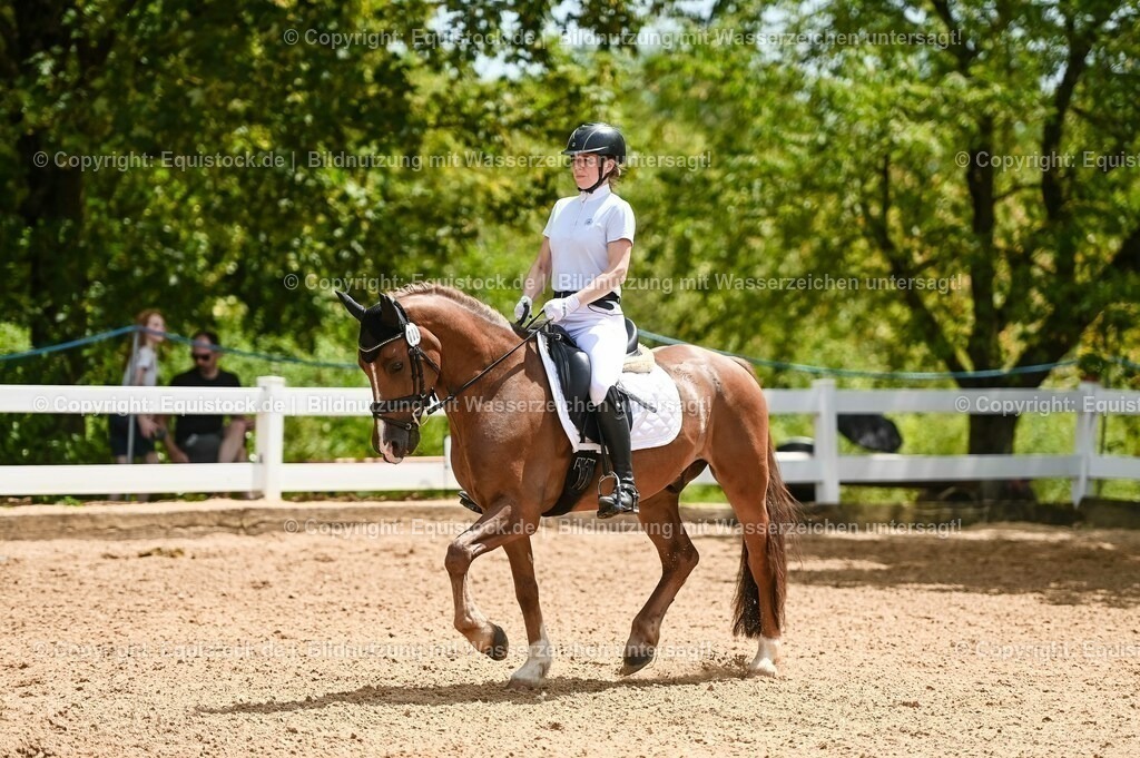 20230715_05_Dressurprüfung Kl.A++_0193 | equistock