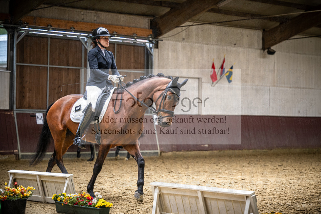 DOS_0981 | Reitturnier Lüdinghausen - Realisiert mit Pictrs.com
