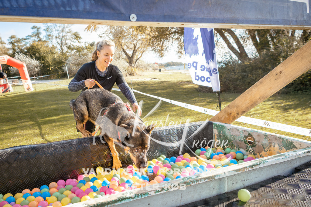 1438_ZZ94762-2 | kk-dogfotos