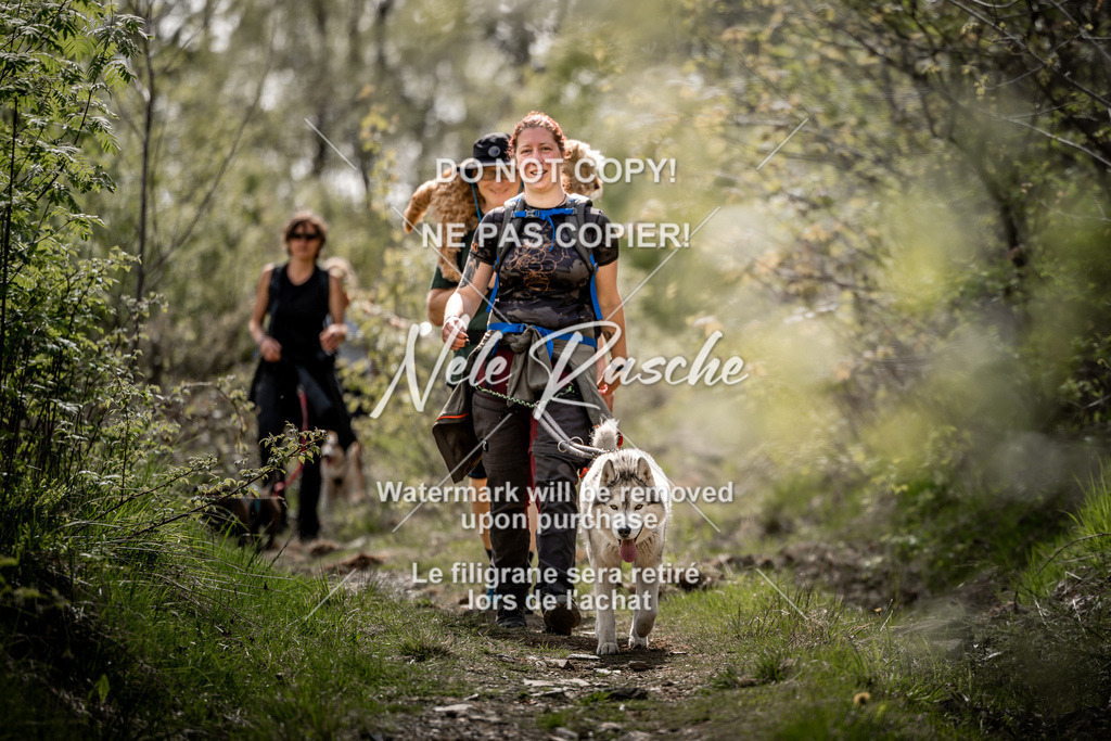 nelerasche_TheGame2026_SoUnterwegs_28 | nelerasche