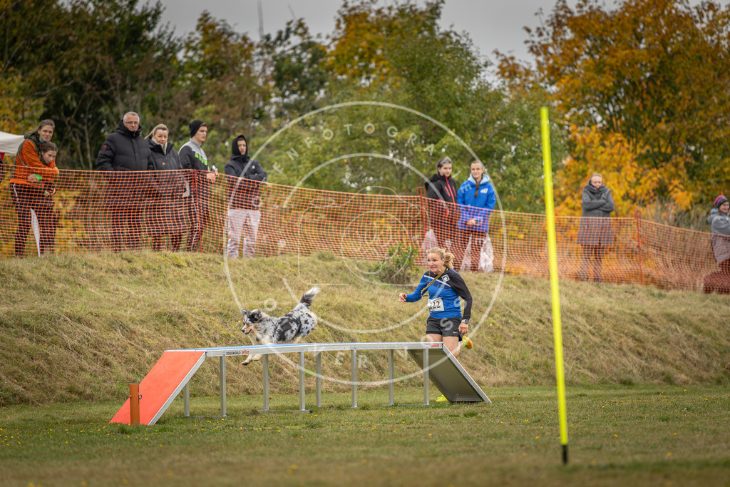 Pfotenfotografie_DV3A4513 | Hundefotografie, Tierfotograf, Pfotenfotografie, Fotoshooting Hund, Hunde Portrait, Hundesport, Hundeportraits, Heideshooting, Hunde, Sportfotograf, Hundefotograf, Turnierhundsport, THS,  - Realisiert mit Pictrs.com