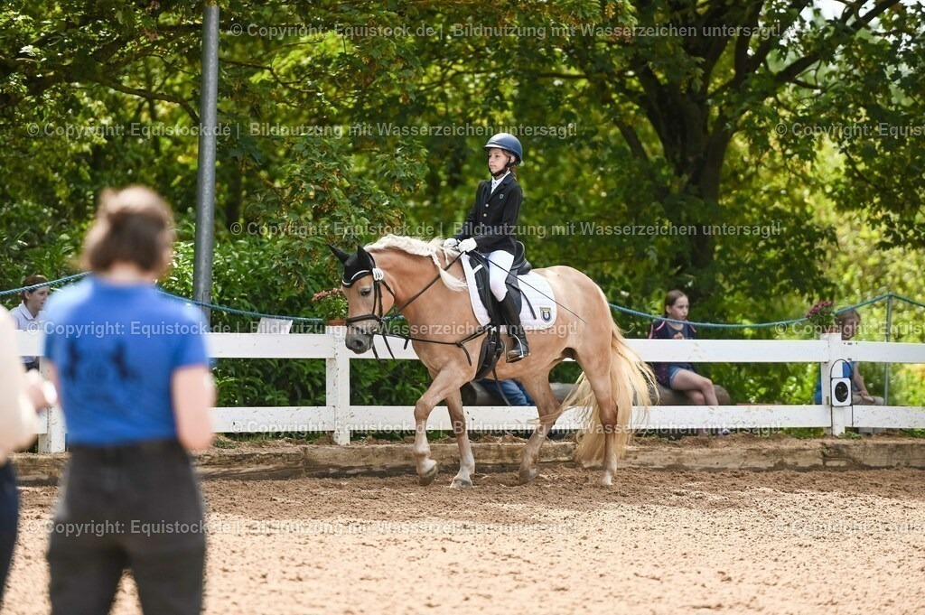 20230716_10-2_Reiter-WB Schritt - Trab - Galopp_0182 | equistock